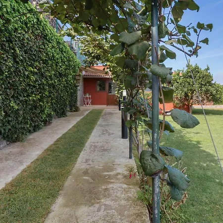 Casa Jica لا أوروتافا